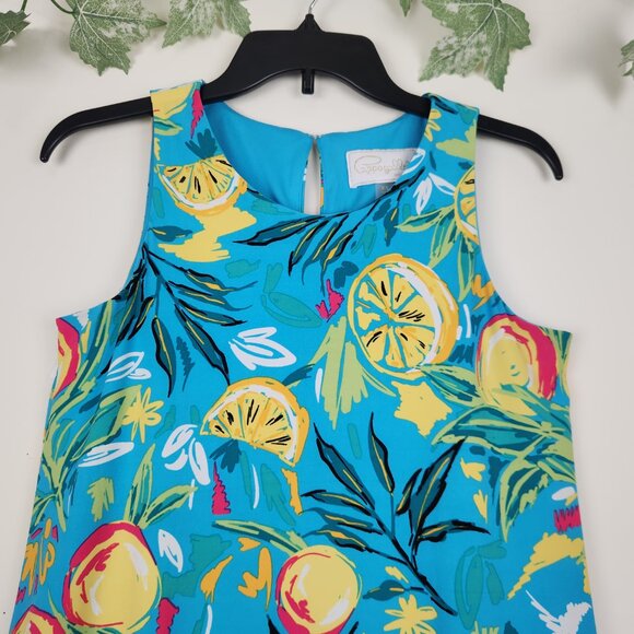 Pappagallo Size XS Blue Yellow Citrus Print Sleeveless Stretch Women's Dress - Picture 2 of 7